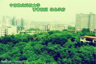 中國好大學(xué)之中南林業(yè)科技大學(xué) 林業(yè)學(xué)科的特色與優(yōu)勢(shì)