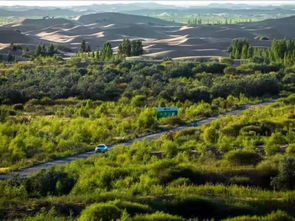 億利榮獲國(guó)家林業(yè)重點(diǎn)龍頭企業(yè)稱(chēng)號(hào)，引領(lǐng)綠色工業(yè)發(fā)展