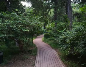 北京林業(yè)大學(xué)游覽全攻略 門(mén)票、地址、路線與工業(yè)風(fēng)景點(diǎn)探索