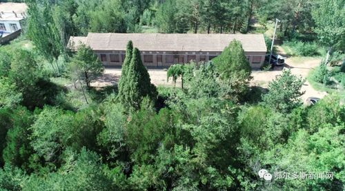 林業(yè)老兵黃達(dá)來(lái)的綠色情懷