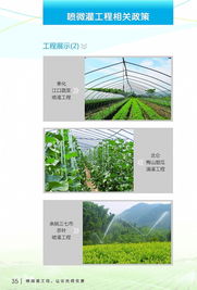 科技節(jié)水，智慧灌溉——寧波市水利局噴微灌技術(shù)推廣應(yīng)用宣傳冊(cè)