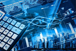 網(wǎng)絡(luò)與信息安全軟件開發(fā) 守護(hù)數(shù)字時(shí)代的防護(hù)盾